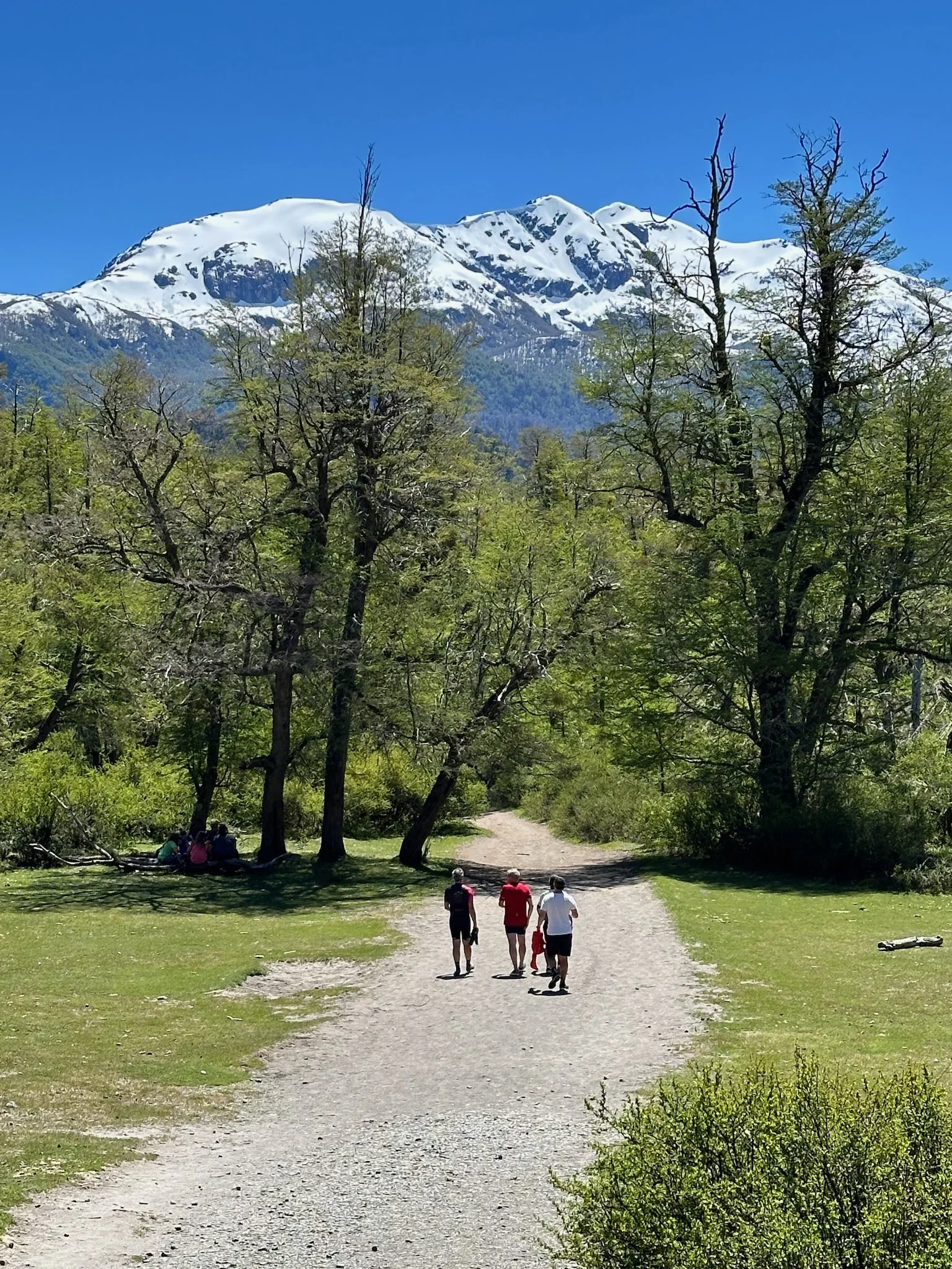 Camino a la cascada Ñivinco