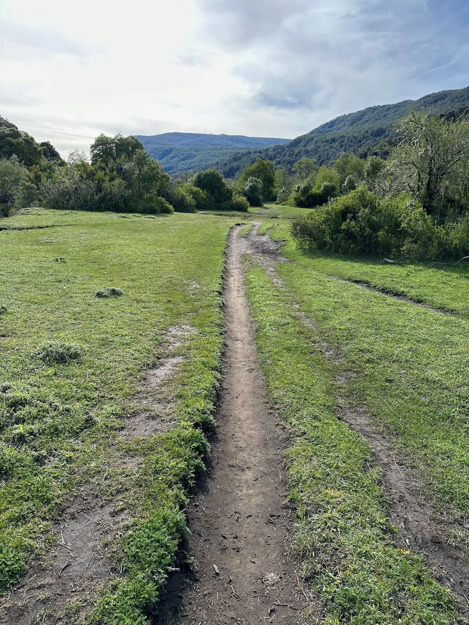 Senderos para ir al mirador de la laguna Rosales