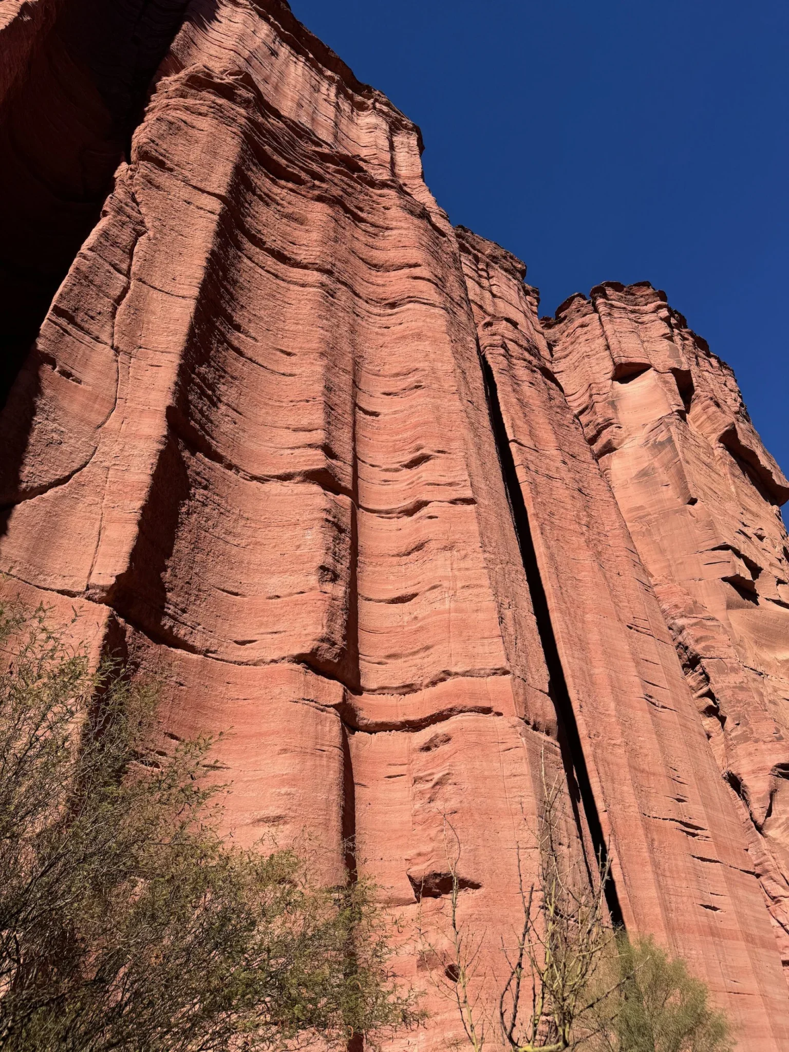 Cañon del Parque Nacional Talampaya en bicicleta