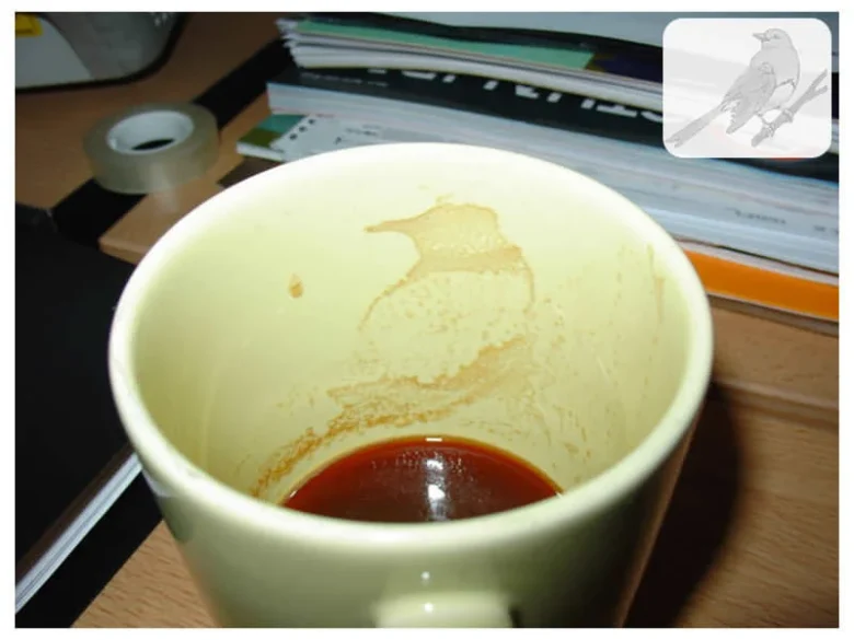 Arte en café