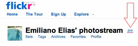 Flickr PRO