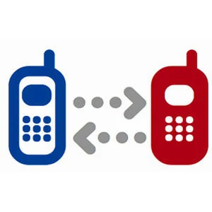 Portabilidad numérica