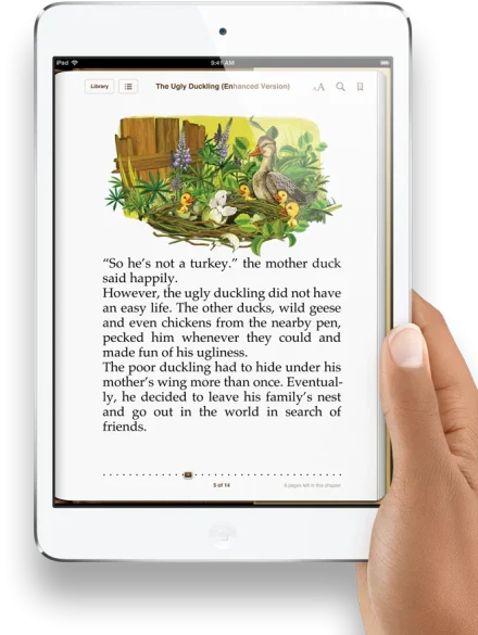 iPad Mini Touch